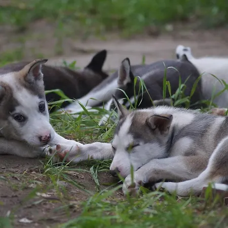Farma Traperska Osada *