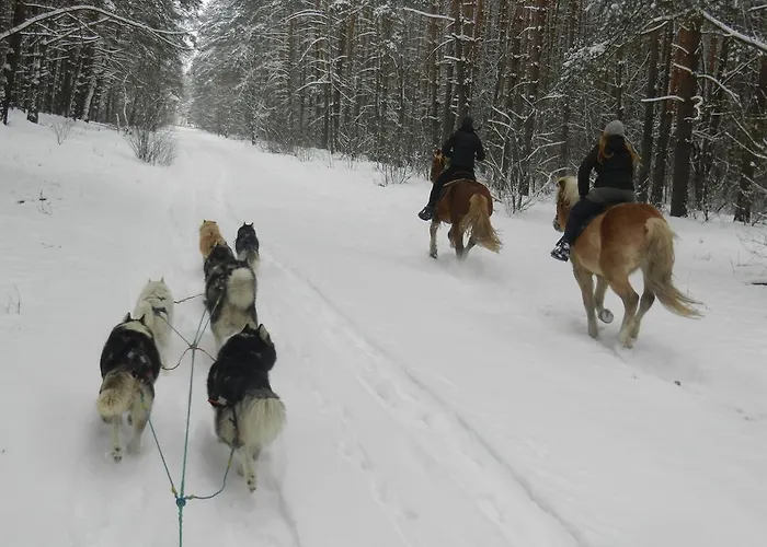 Alojamento de Turismo Rural Traperska Osada
