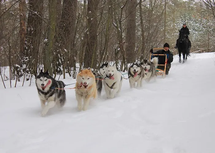 Traperska Osada Alojamento de Turismo Rural Czerwonak