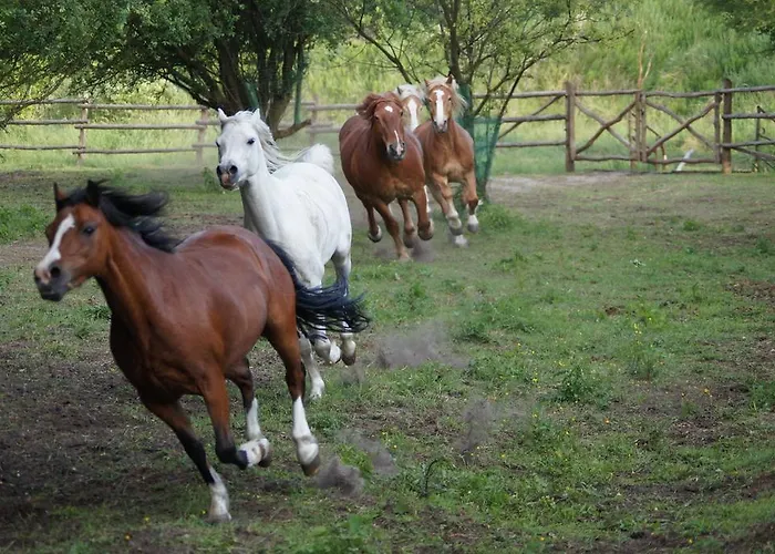 Traperska Osada Alojamento de Turismo Rural *